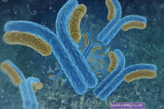 Antibodi monoklonal: apakah itu dan mengapa ia membantu merawat penyakit