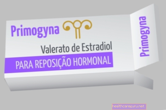 Primogyna-호르몬 대체 요법