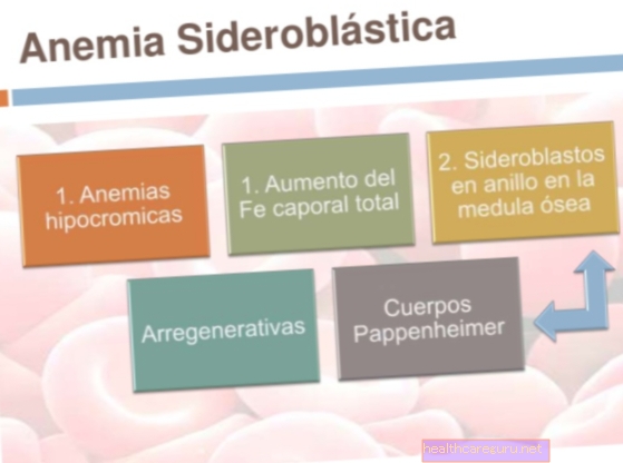 Sideroblastic एनीमिया: लक्षण, कारण, निदान और उपचार