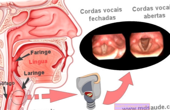 Zanícené hlasivky: příčiny, příznaky a způsob léčby