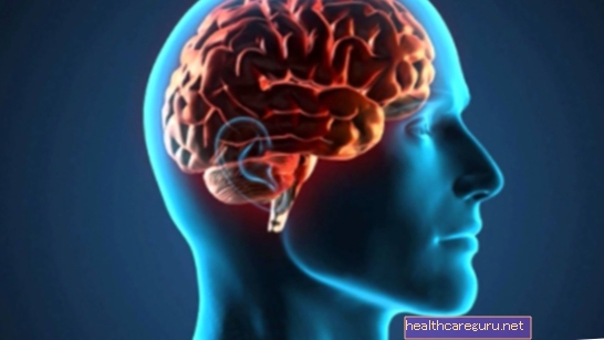 7 zabavnih dejstev o človeških možganih