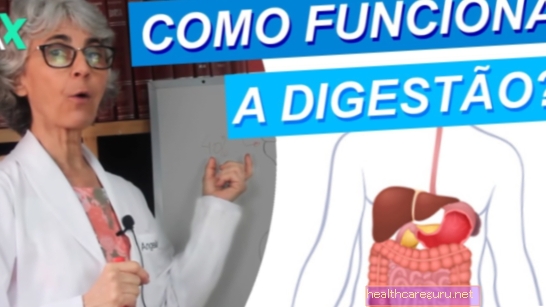 Système digestif (digestif): comment se déroule la digestion et l'anatomie