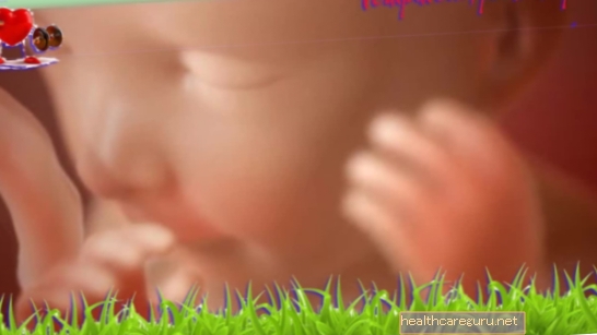 शिशु का विकास - 29 सप्ताह का गर्भ