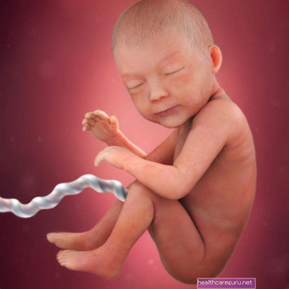 Babyutvikling - 35 ukers svangerskap