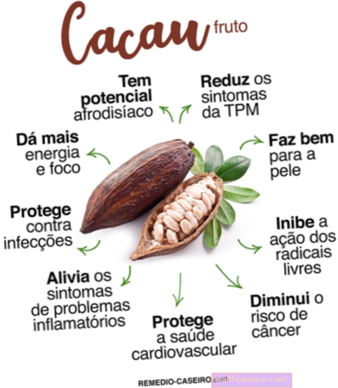 Kakaonun sağlığa en önemli 10 faydası
