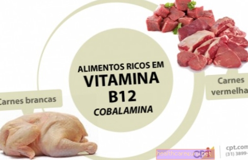 Fødevarer rig på vitamin B12
