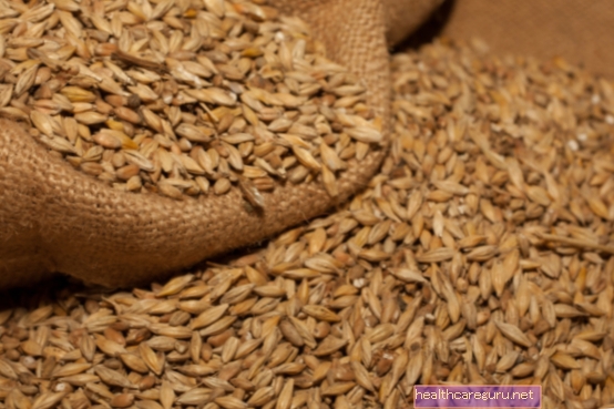 What is malt and what are its benefits
