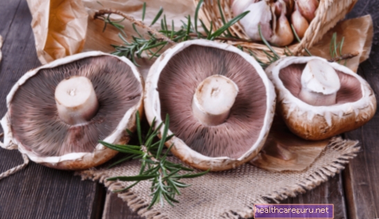 Typer af svampe og 9 vigtigste sundhedsmæssige fordele