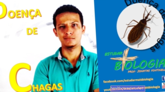 Chagaso liga: simptomai, ciklas, perdavimas ir gydymas