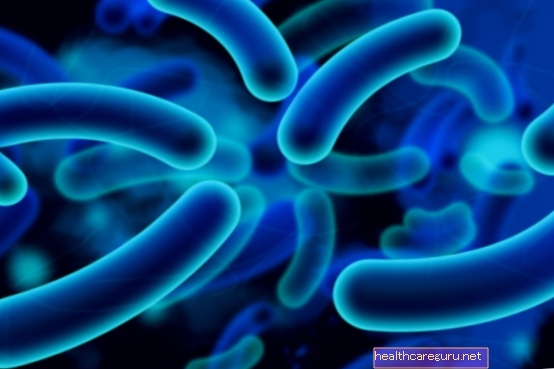 Escherichia coli (E. coli): ما هي ، الأعراض ، الانتقال والعلاج