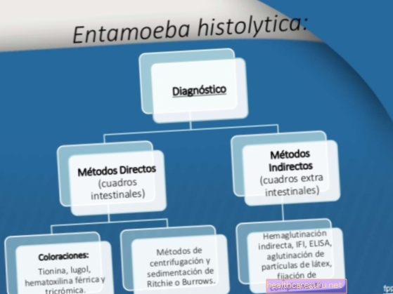 Simptomi Entamoeba histolytica, diagnoza in način zdravljenja