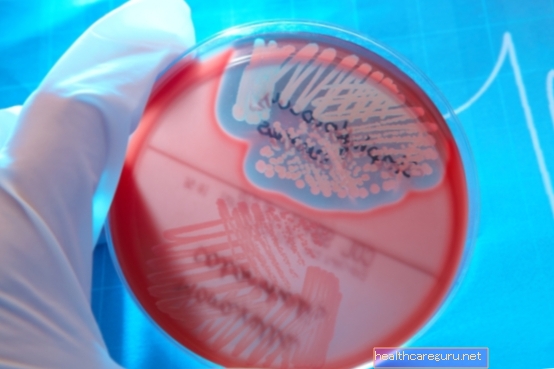 Staphylococcus saprophyticus: τι είναι, συμπτώματα και θεραπεία