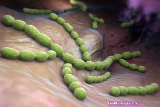 Streptococcus: มันคืออะไรวิธีการรับและอาการหลัก