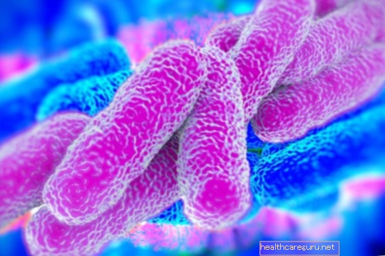 KPC superbakterier: hvad det er, symptomer og behandling