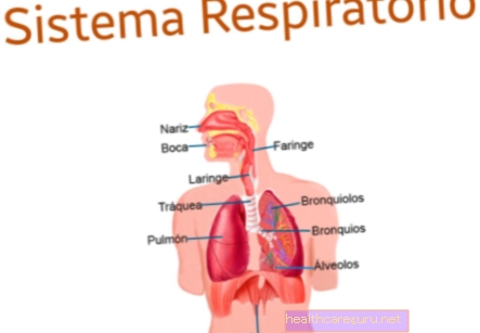 Maladies du système respiratoire: ce qu'elles sont, les symptômes et ce qu'il faut faire