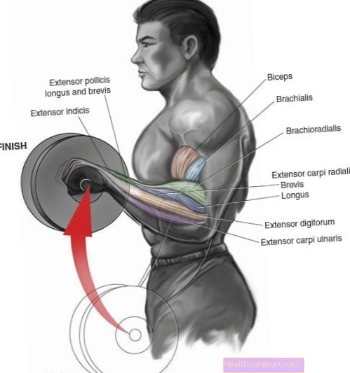 تمارين للعضلة ذات الرأسين والعضلة ثلاثية الرؤوس والذراعين والكتفين