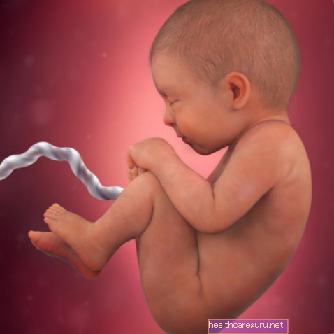 शिशु का विकास - 38 सप्ताह का गर्भ