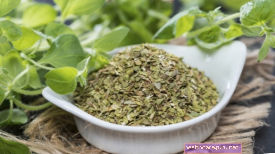 8 faedah kesihatan menggunakan Astragalus (Astragalus)