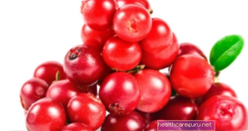 Cranberry (cranberry): wat het is, waarvoor het is en hoe het te gebruiken