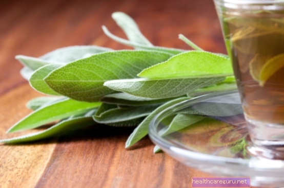Herbata Salvia: do czego służy i jak ją pić