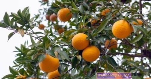 À quoi sert l'orange amère?